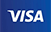 visa icon